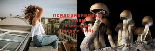 мдпв Волоколамск